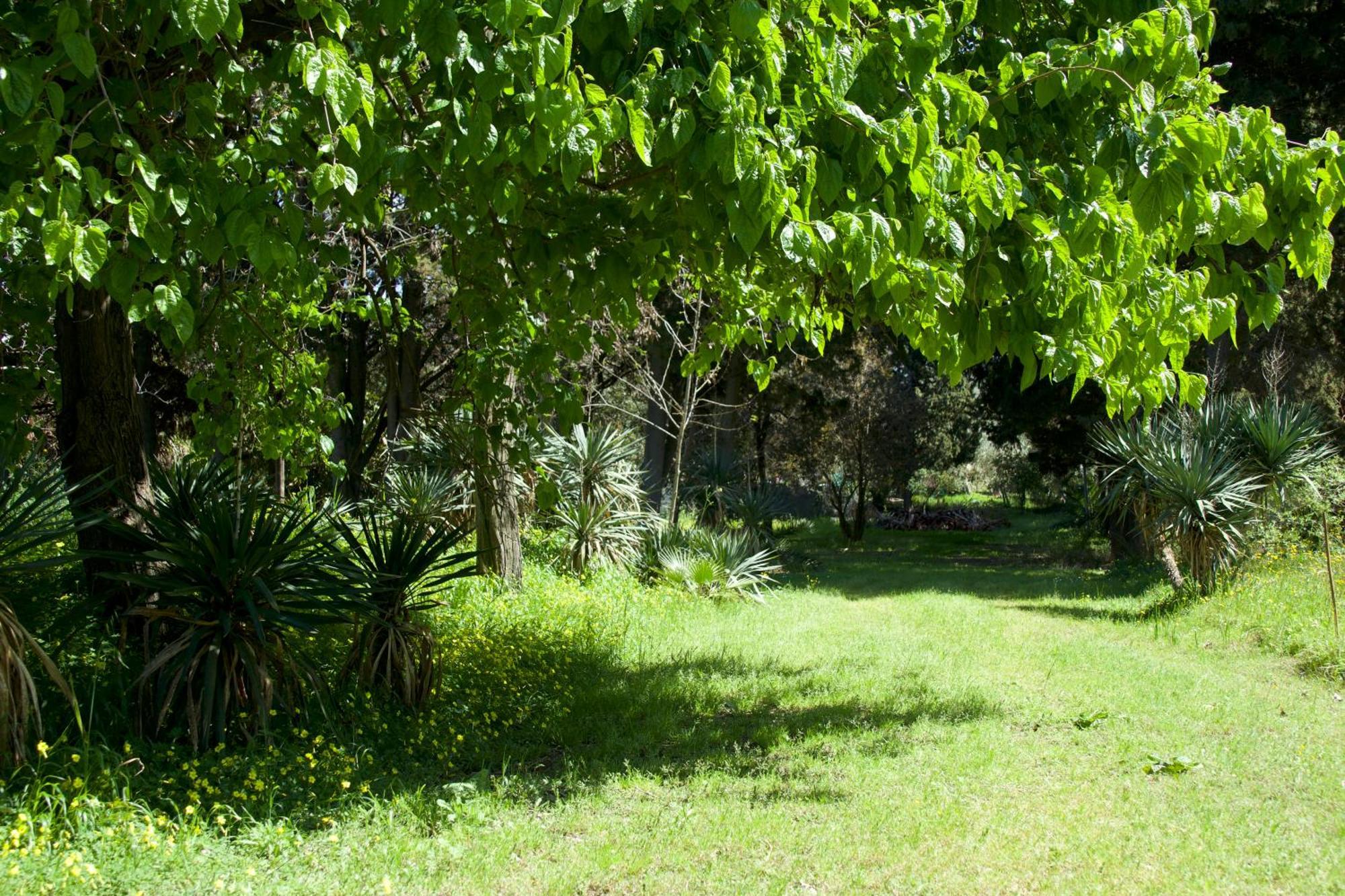 Villette Vacanze Bivona Εξωτερικό φωτογραφία